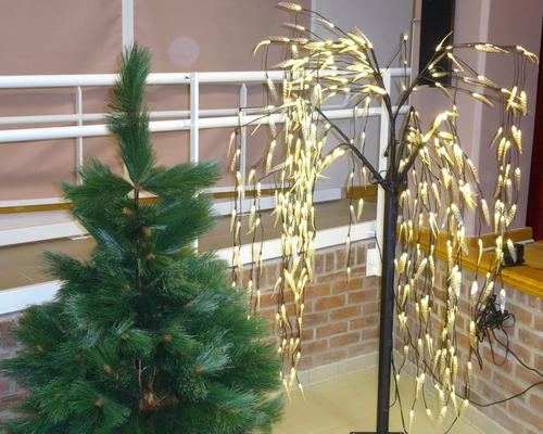PSDP Creche vivante 2017 12 16 (20)