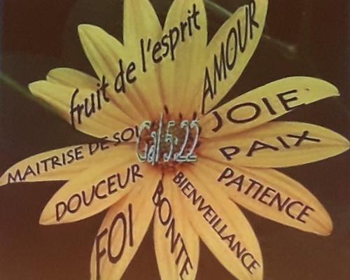 PARCOURS ALPHA Weekend 2018-01- 6 & 7 (10)