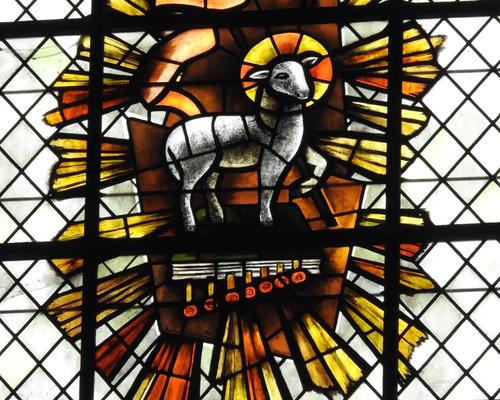 1eres communions 2018 cathedrale (119)