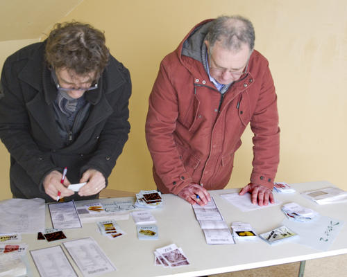 Atelier : Alimentation dans le monde