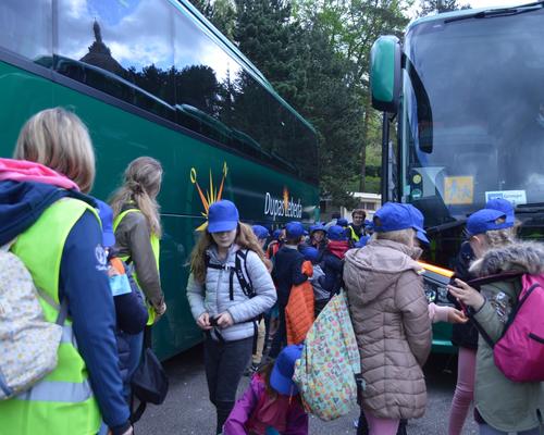 BUS 2