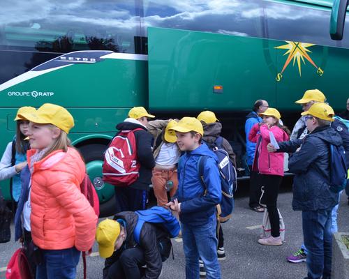 BUS 3