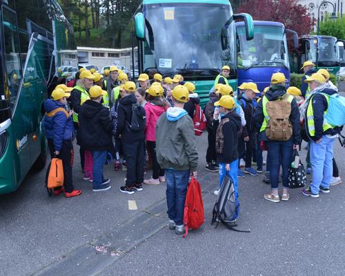 BUS 3