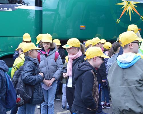 BUS 3