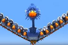 oiseaux-surunfil