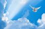 © Fotolia ColombeCiel