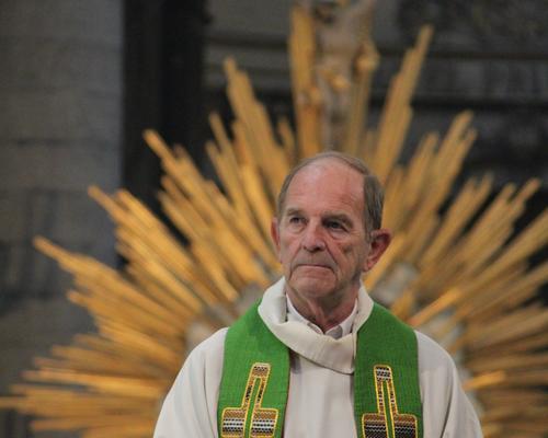 L'abbé Xavier Bris, vicaire général.