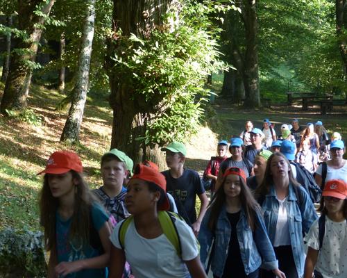 Lourdes-2018 - photos Cathedrale verdure (24)