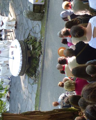 Lourdes-2018 - photos Cathedrale verdure (35)
