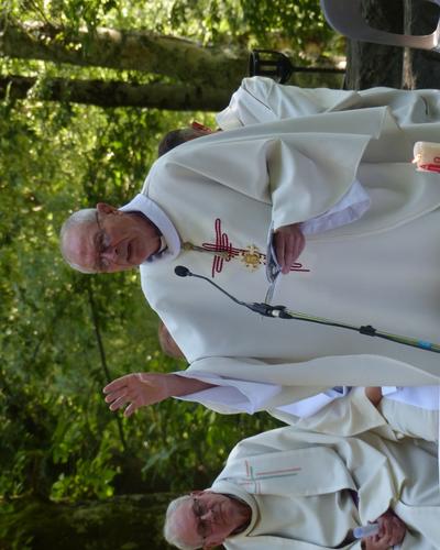 Lourdes-2018 - photos Cathedrale verdure (55)