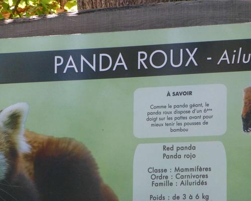 _copie-0_P1030891
