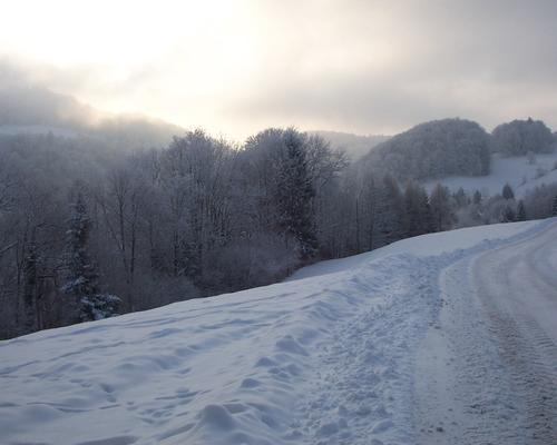 TAMIE neige