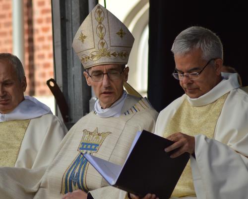 ST CORDON 41
