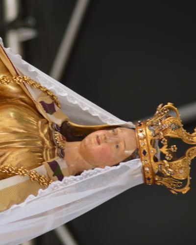 ST CORDON 55