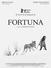 FORTUNA-affiche film