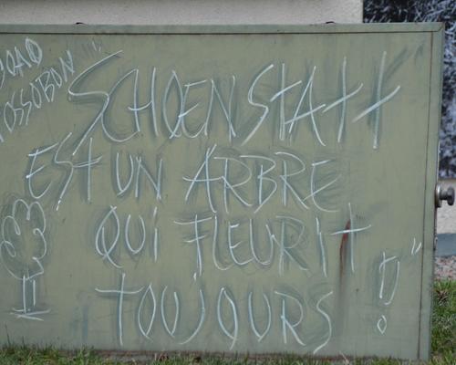 MARCHE EWARS 41