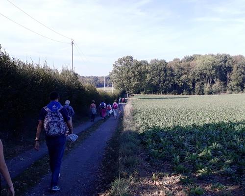 PV26 Maubeuge (91)