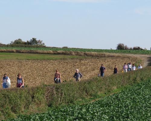 PV26 Maubeuge (92)