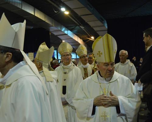 accueil mgr Dollmann 29