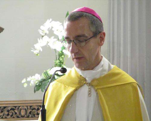 Mgr DOLLMANN