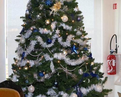 1812_Caté chante Noël Résidence MDV 4