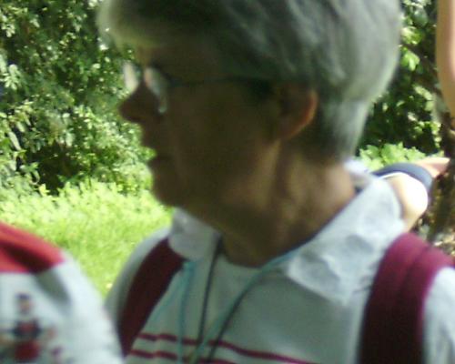 IMGP0084