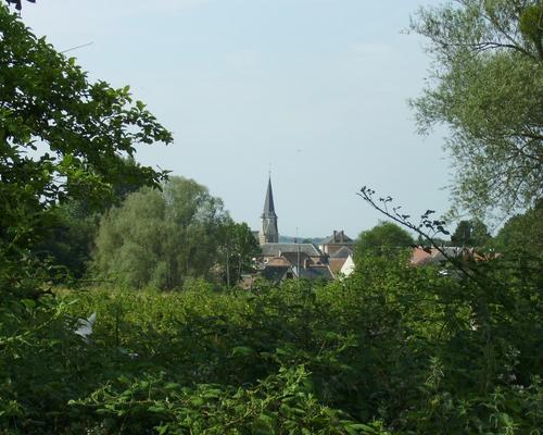 IMGP0100