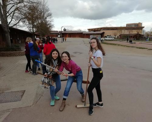 IMG_20190212_161612