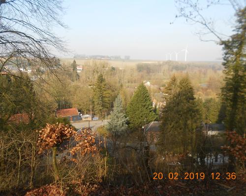 DSCN7390