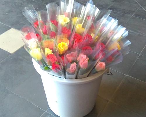 Les roses 