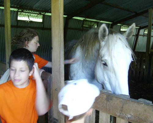 IMGP0098