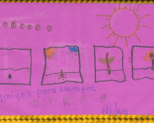 Honduras 2018_08_15 Dessin02