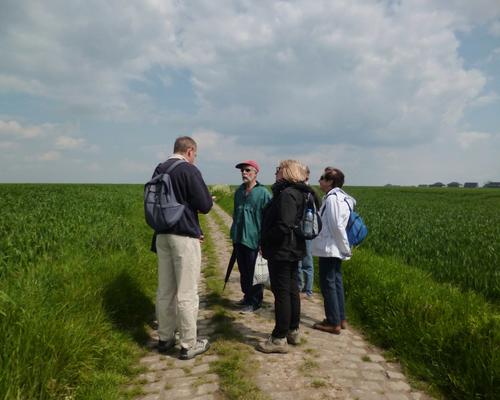 Marche2019 6 - Copie