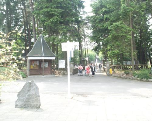 DCP_0304