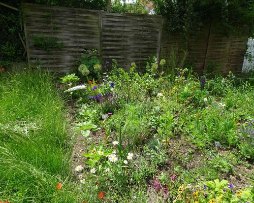 2019-06-21 Jardin St Martin (1)