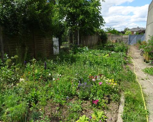 2019-06-21 Jardin St Martin (2)
