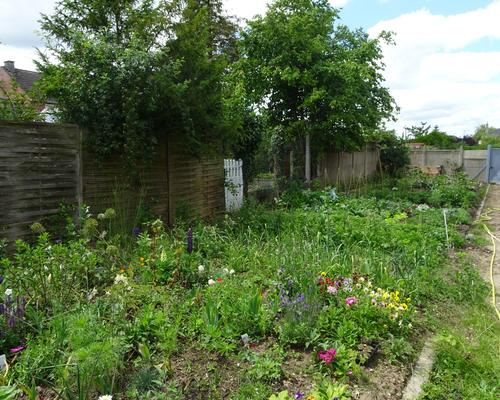 2019-06-21 Jardin St Martin (3)