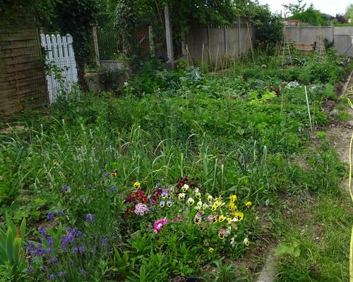2019-06-21 Jardin St Martin (4)