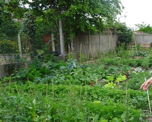 2019-06-21 Jardin St Martin (5)