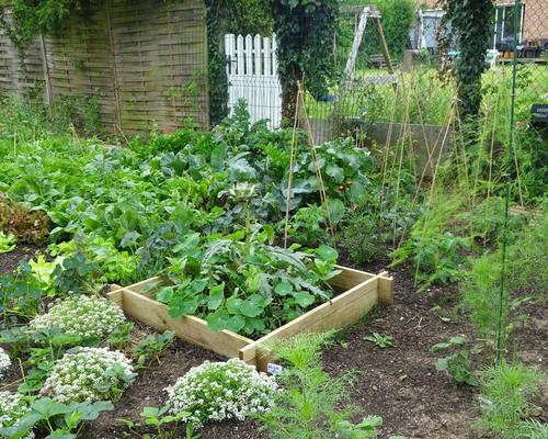 2019-06-21 Jardin St Martin (10)