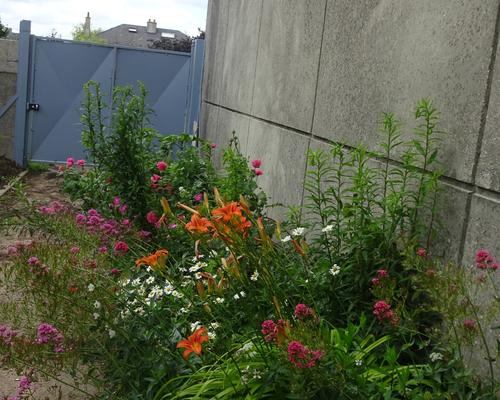 2019-06-21 Jardin St Martin (11)