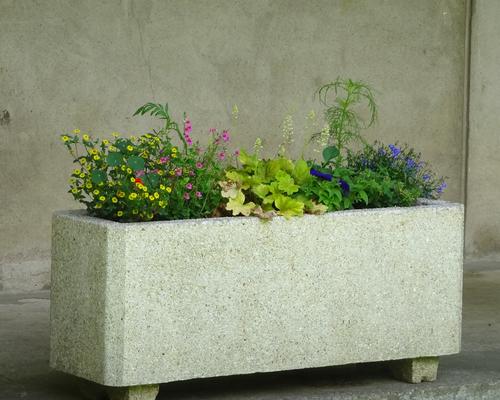2019-06-21 Jardin St Martin (18)