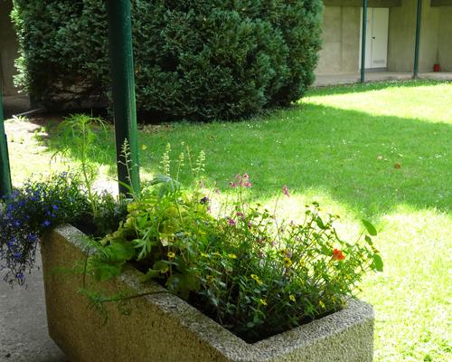 2019-06-21 Jardin St Martin (20)