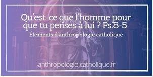 vignette-anthropologie