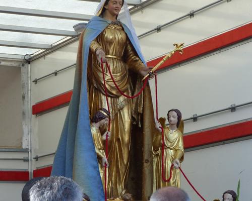 SaintCordon2019_Platanes