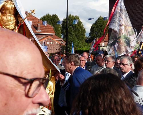 SaintCordon2019_Platanes 10