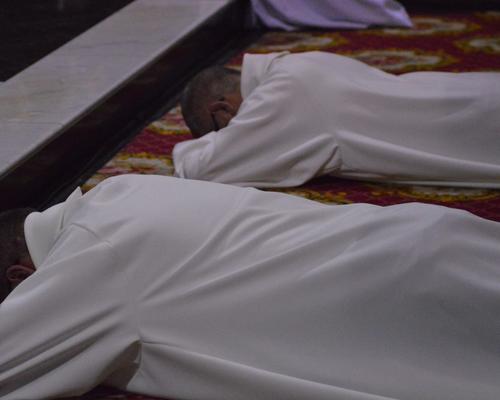 ordinations diaconales (permanent) 51