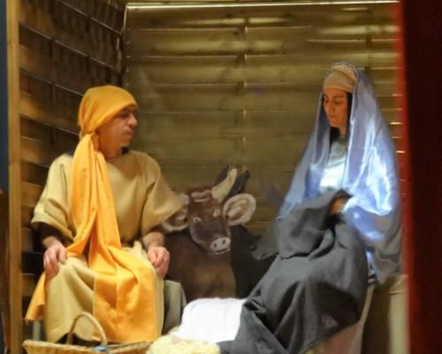 PSdP Noel 2019  (20)