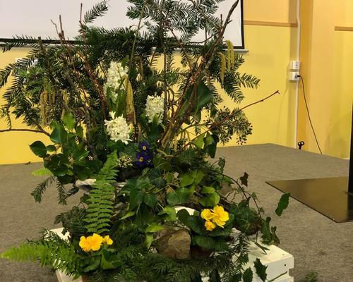 2019-01-18 Ressourcement en doyenne (57)