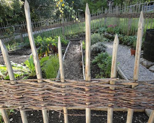 fence-218686_1920